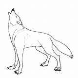 Wolf Coloring Pages  Free Download On ClipArtMag sketch template