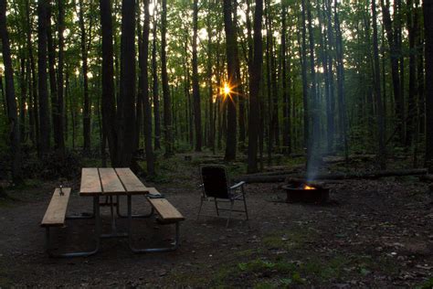 Allegheny National Forest Ranked As Top Camping Spot - Woodall's Campground Magazine