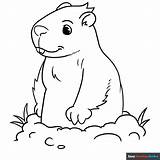 Groundhog Coloring Page  Easy Drawing Guides sketch template