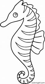 Seahorse Coloring Pages 56 Free Printables  ColoringAll sketch template