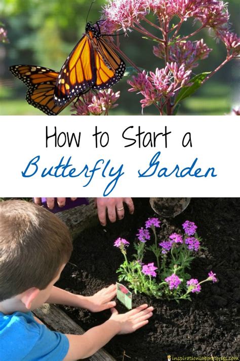 How to Start a Butterfly Garden | Inspiration Laboratories