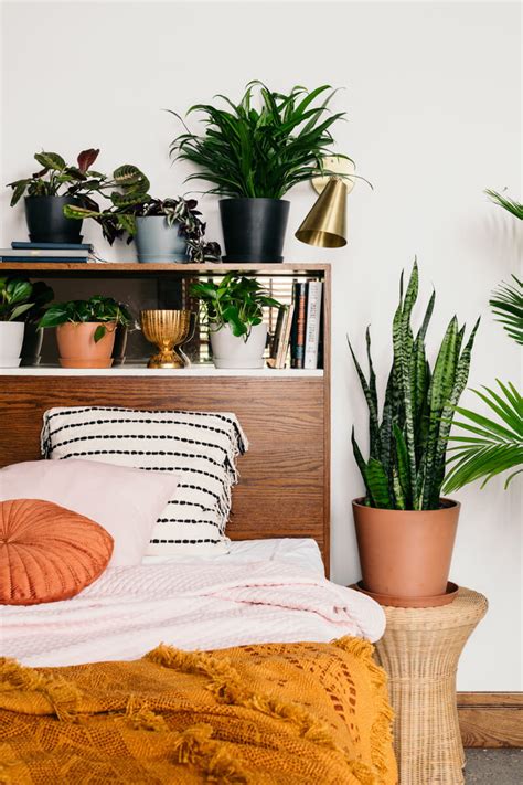 Best Plants for Your Bedroom: Bloomscape Your Space | Bloomscape