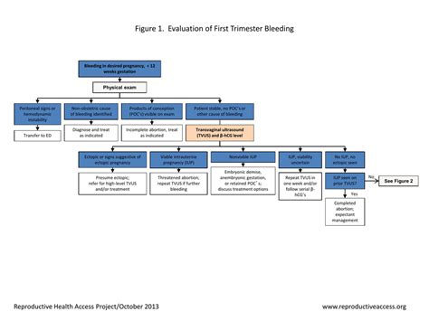 Ppt First Trimester Bleeding Algorithm | The Best Porn Website