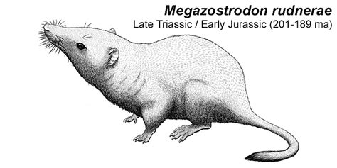 Mesozoic Era Early Mammals - Pets Lovers