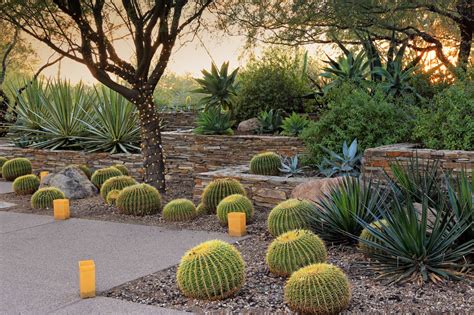 Green Dreams Landscaping – Glendale Arizona