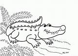 Crocodile Pictures To Print  Coloring Home sketch template