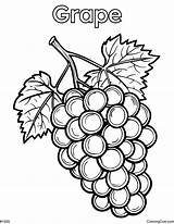 Grape Coloring Page sketch template