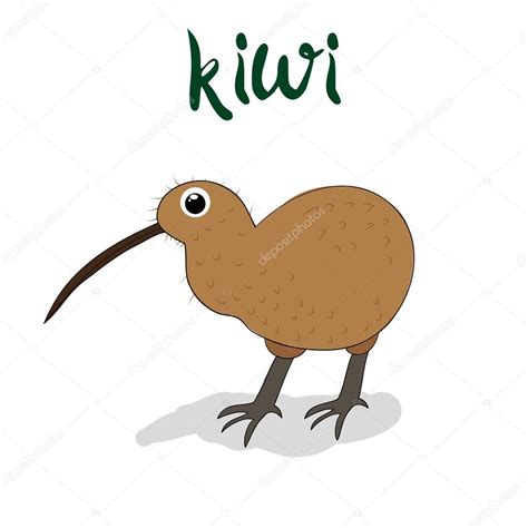 Kiwi Bird Drawing at GetDrawings | Free download