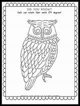 Owl Coloring Page With Fun Fact {FREE PRINTABLE} sketch template
