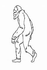 Bigfoot Coloring Page Free  Printable Pages sketch template