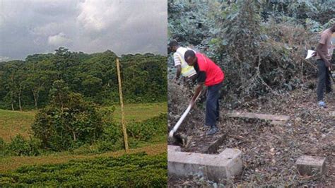 Kaimosi Forest: Historical Habitat That is Home to 52 Tiriki Cultural ...