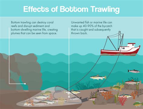 Biggest Threats to Global Fisheries | Fix.com