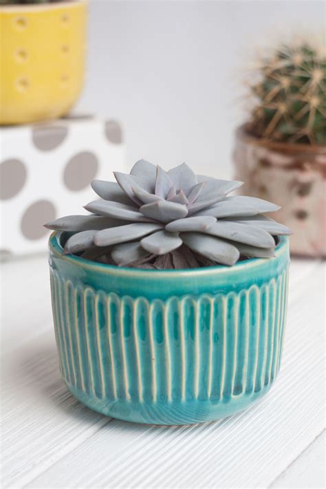 This ceramic succulent pots are the perfect decor for any room! You can ...
