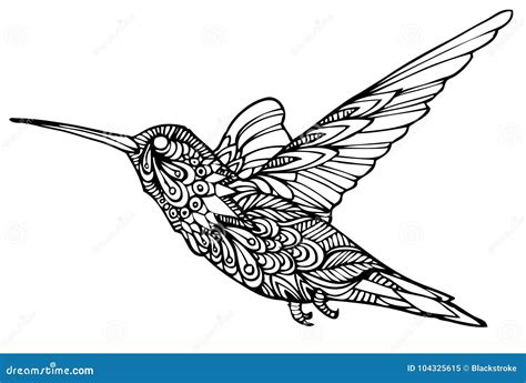 Zentangle Hummingbird Coloring Page Vector Illustration | CartoonDealer ...