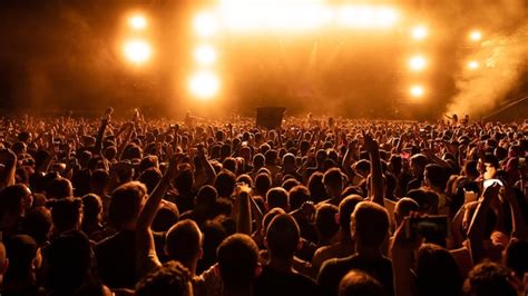 Free Photo | Back view of crowd of fans watching live performance on ...