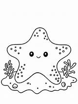 Print 25  Free Starfish Coloring Pages For Kids ⭐🐟 sketch template