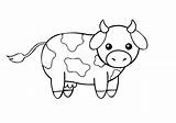 Cute Cow Coloring Pages sketch template