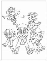 20 Free PAW PATROL Coloring Pages Your Kids Will Love Download PDFs  sketch template