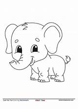 Coloring Pictures Elephants sketch template
