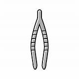 Forceps Vector Images Over 5000 sketch template
