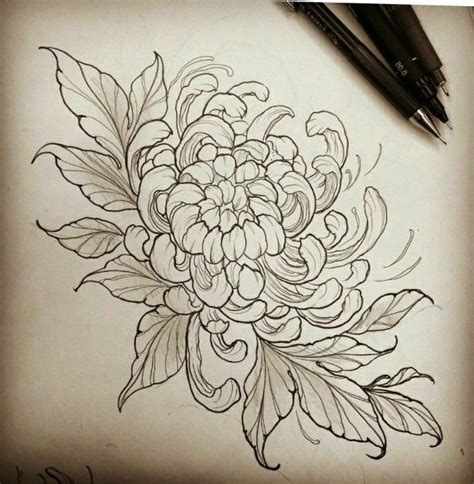 Pin by Chan Zhi Xian on идеи | Chrysanthemum tattoo, Japanese flower ...