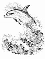 32 Dolphin Coloring Pages For Kids And Adults  Our Mindful Life sketch template