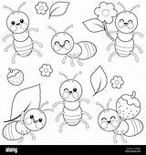 Cute Ant Bugs Black And White Coloring Page Stock Photo  Alamy sketch template
