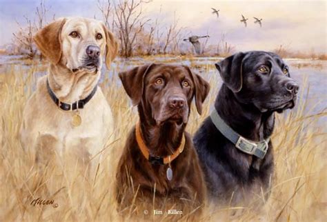 Great Hunting Dogs IV Labrador RetrieversArtist Proof EditionSold Out ...