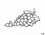 Grapes Coloring Page At GetDrawings  Free Download sketch template