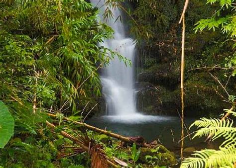 Where to Find the Best Waterfalls on the Big Island, Hawaii