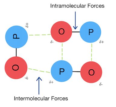 Van der Waals Forces — Definition & Overview - Expii