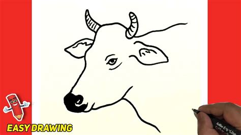 How to draw a Cow face / Cow head easy and step by step | Cow face ...