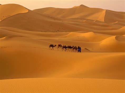 World Visits: Sahara Desert World Largest Hot desert