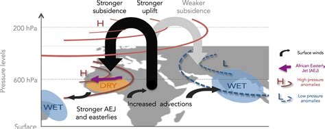 Schematic showing modulations of the Walker circulation for West... | Download Scientific Diagram