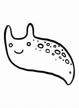 Slug Coloring Pages  Free Printable PDF & Online sketch template