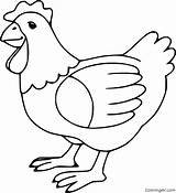 Chicken Coloring Pages Fried Food Meat Roast Printable Clipart Color  sketch template