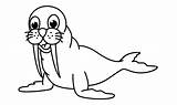 Cute Walrus Cartoon Coloring Page Graphic By Ningsihagustin426  sketch template