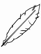 Eagle Feather Template Printable Sketch Coloring Page sketch template