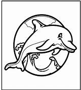 Coloring Dolphin Pages Sketch Page sketch template