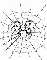 Free Printable Spider Coloring Pages For Kids Page  sketch template