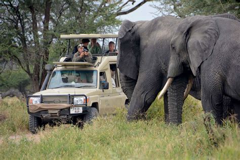 5 days Tanzania Wildlife safari | tanzania tours | tanzania safaris