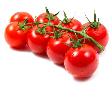 Buy Cherry Tomato Seeds Online at AllThatGrows