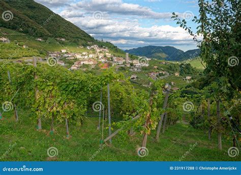 Proseco Hills UNESCO World Heritage Site Stock Photo - Image of ...