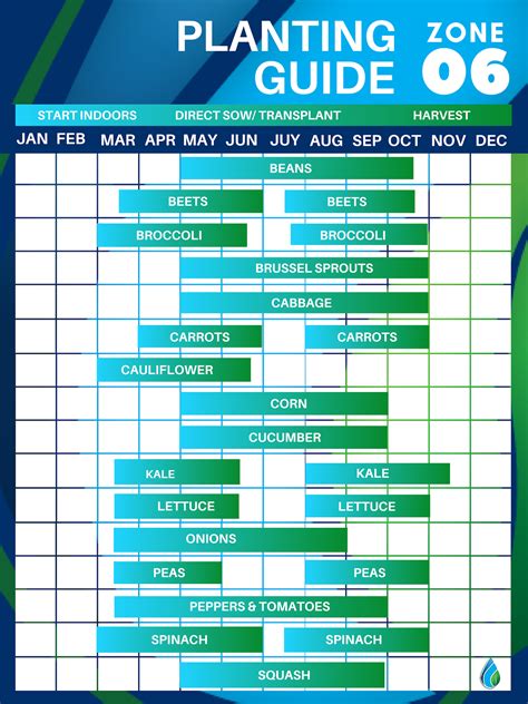 Zone 6 Planting Calendar