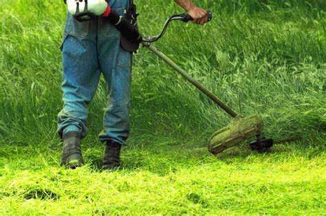 4 Whipper Snipper Head Types & How to Use Them - Yard Work