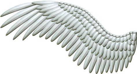 Wings PNG