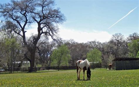 New Mexico Communities | Corrales