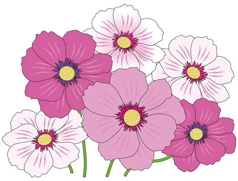 Drawing of pink flowers on a white background free image download