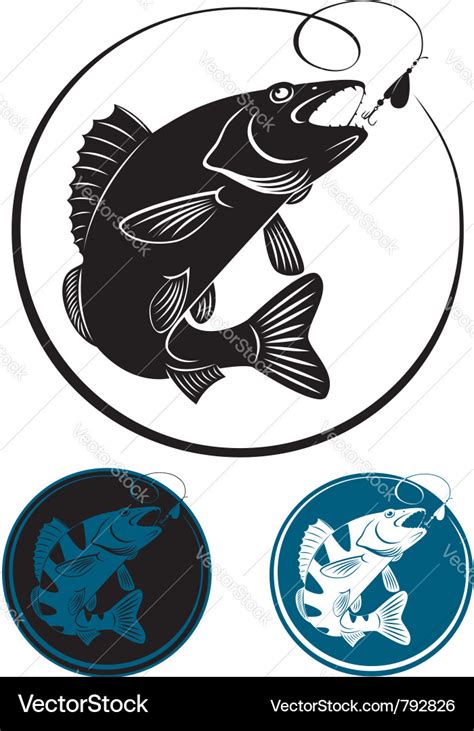 The fish walleye Royalty Free Vector Image - VectorStock