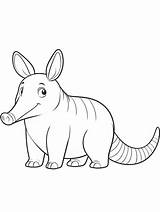 Aardvark coloring Pages sketch template